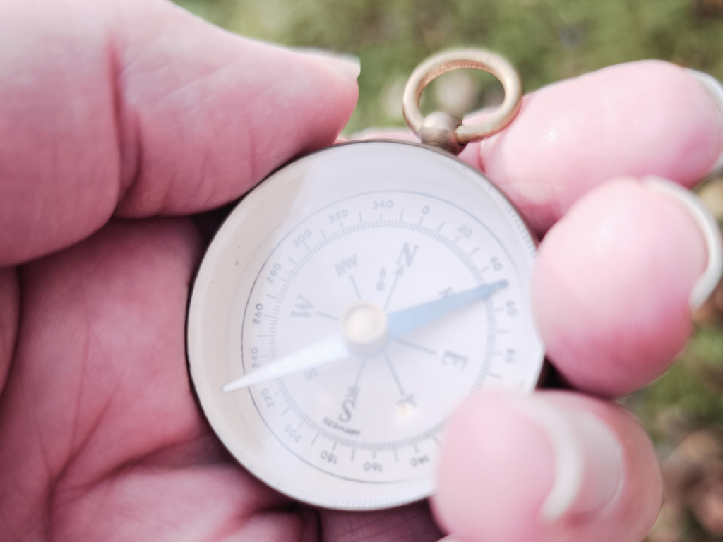 Kompassbild