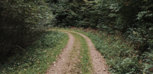 Trauerspaziergang©Trauerkompass, Rebecca Schumacher 768x375 (4)