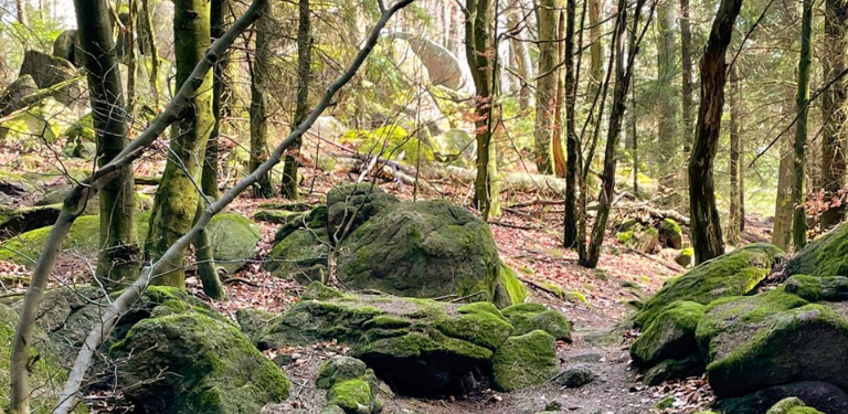 Trauerspaziergang©Trauerkompass, Claudia Hahn 768x375 (2)