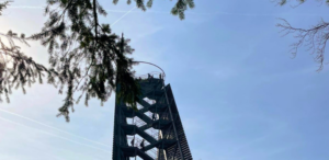 Trauerspaziergang©Trauerkompass, Claudia Hahn 768x375 (2)