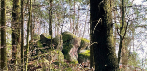 Trauerspaziergang©Trauerkompass, Claudia Hahn 768x375 (2)