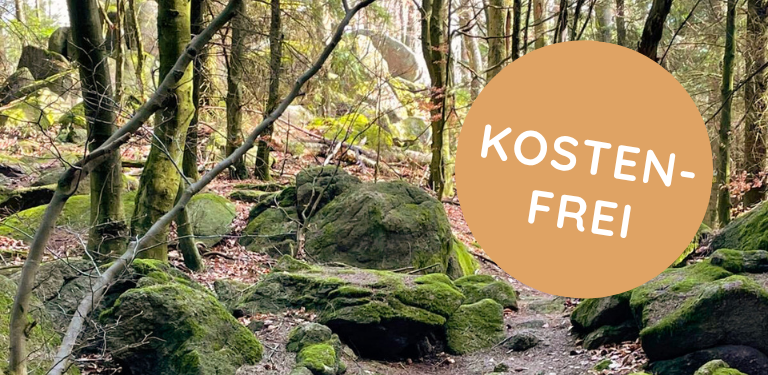 Trauerspaziergang©Trauerkompass, Claudia Hahn 768x375 (5)